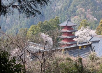 No,700　南ア前衛：身延山（1153ｍ）